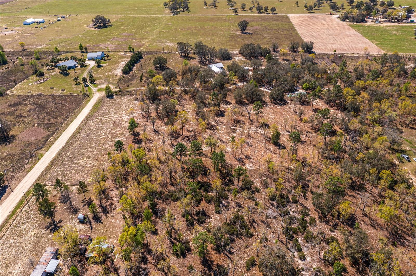 NE 118TH TER, BRONSON, FL, 32621