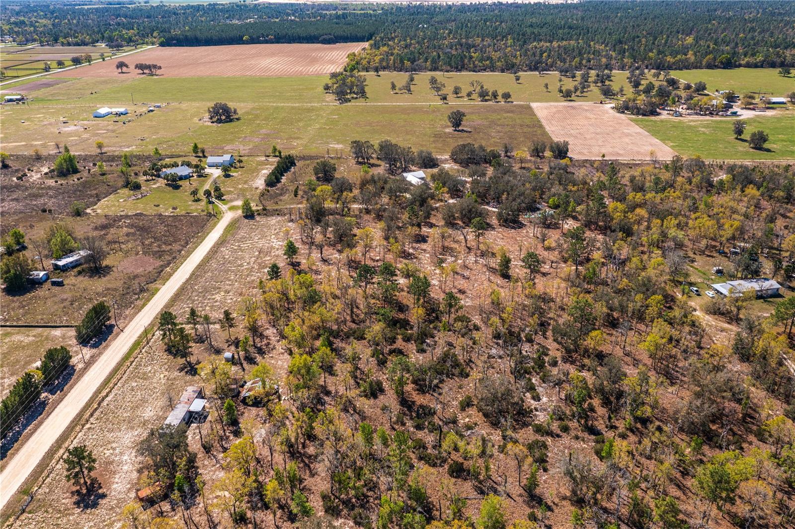 NE 118TH TER, BRONSON, FL, 32621