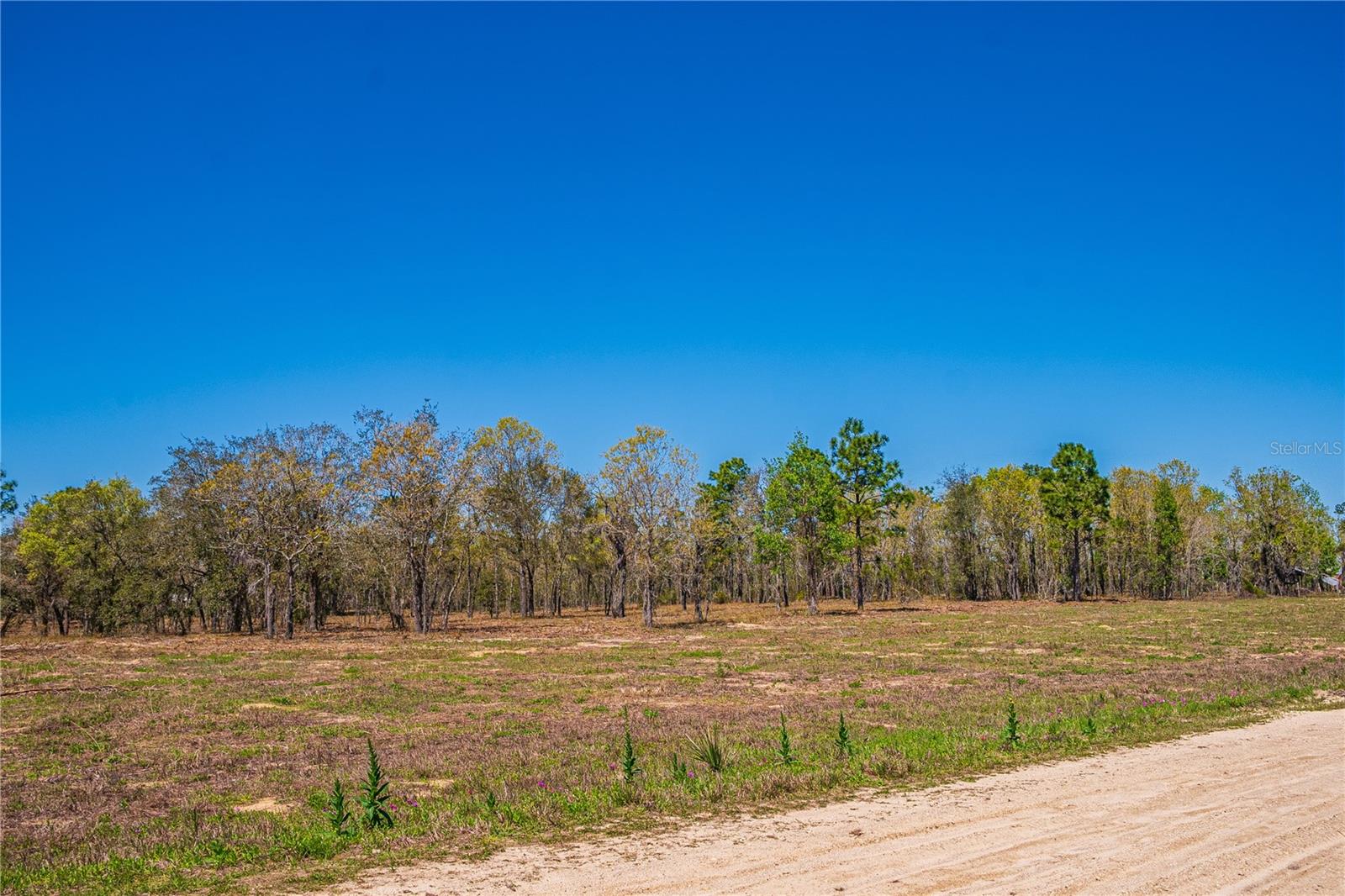 NE 118TH TER, BRONSON, FL, 32621