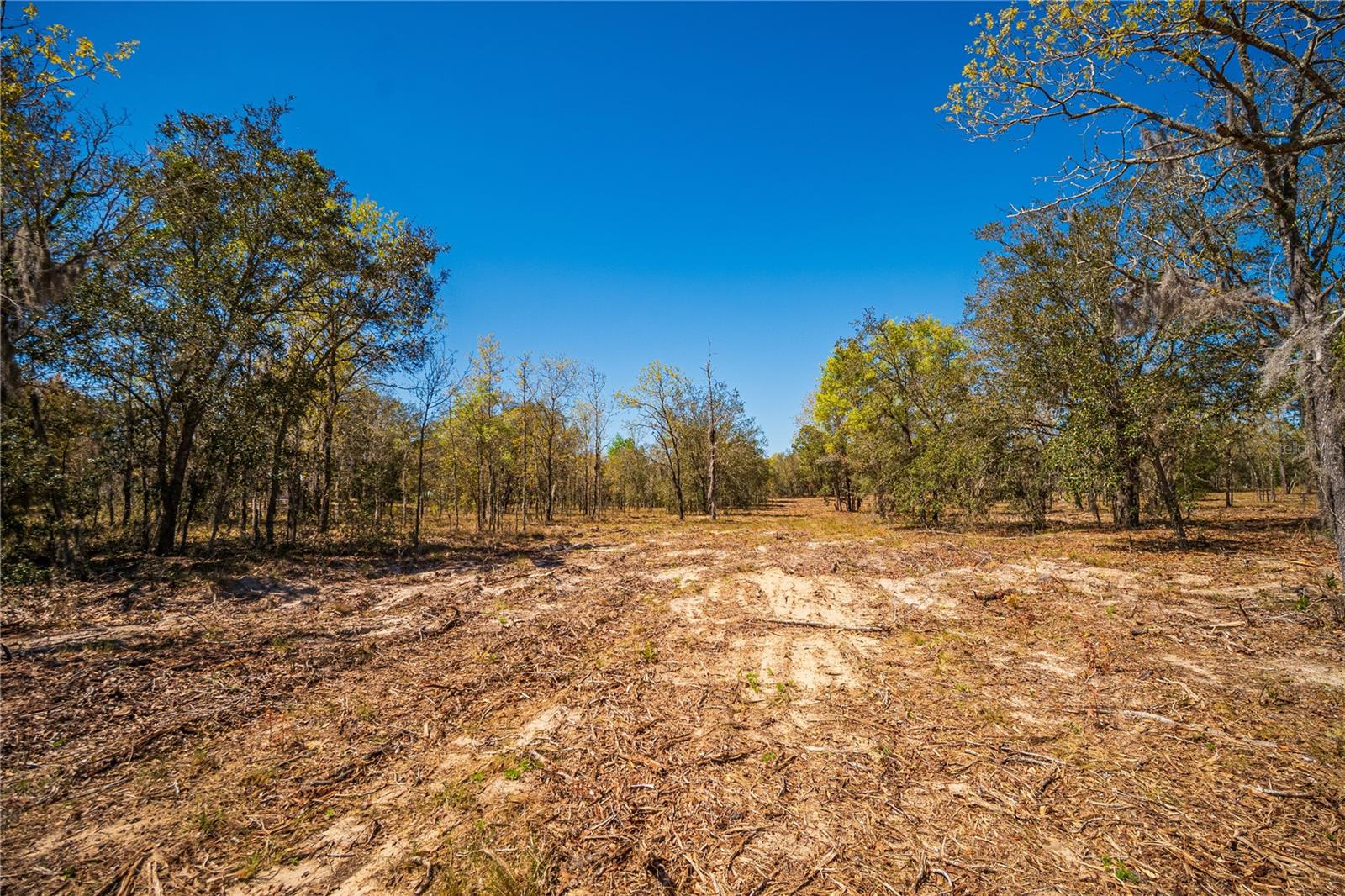 NE 118TH TER, BRONSON, FL, 32621