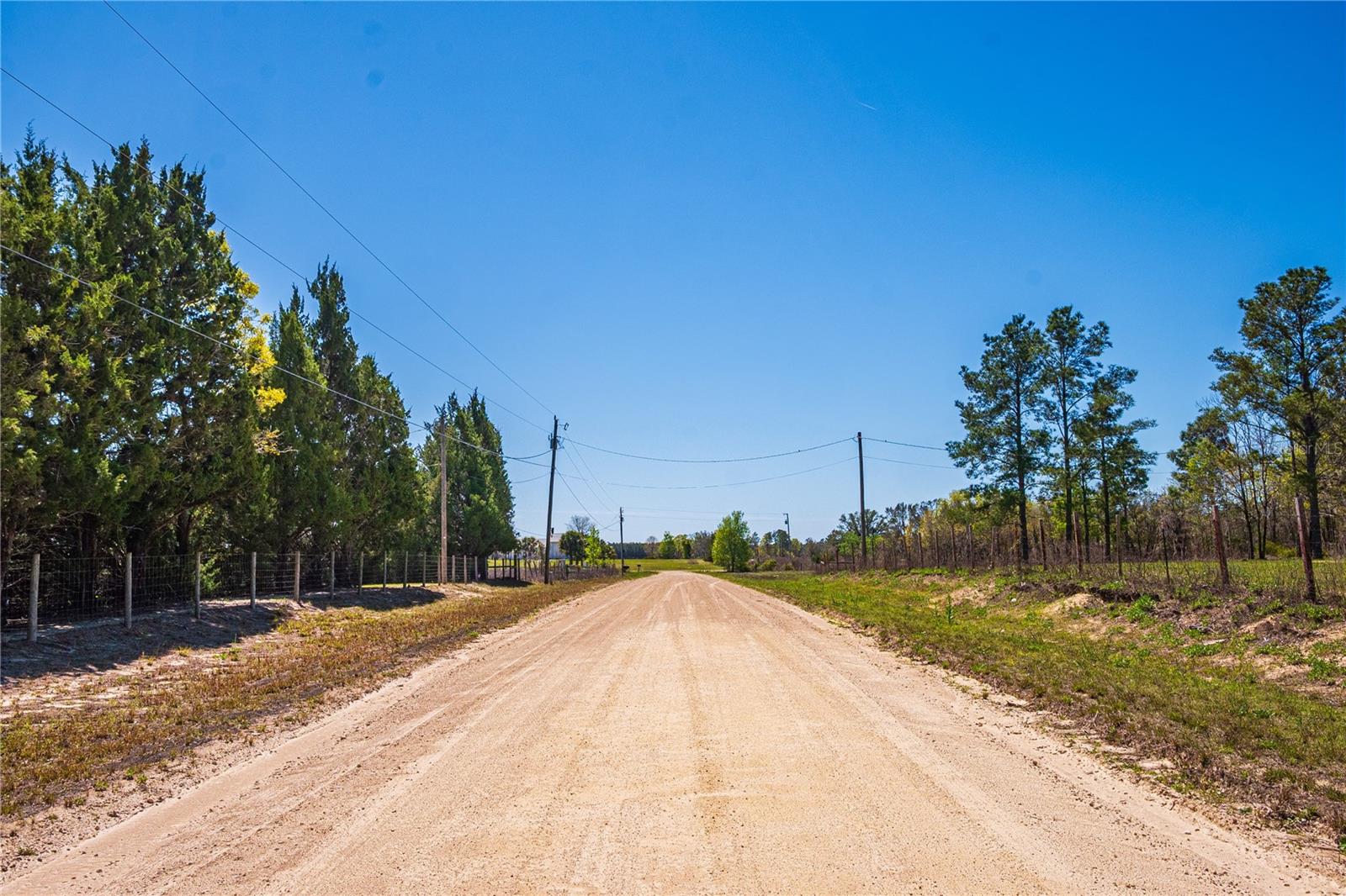 NE 118TH TER, BRONSON, FL, 32621