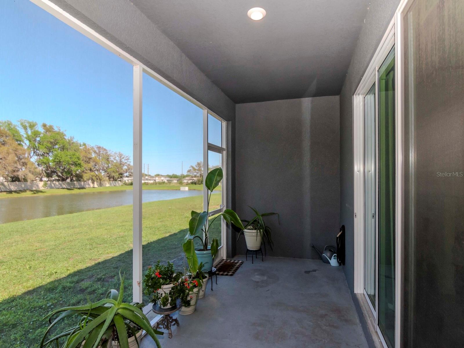 34355 SORREL MINT DR, WESLEY CHAPEL, FL, 33543