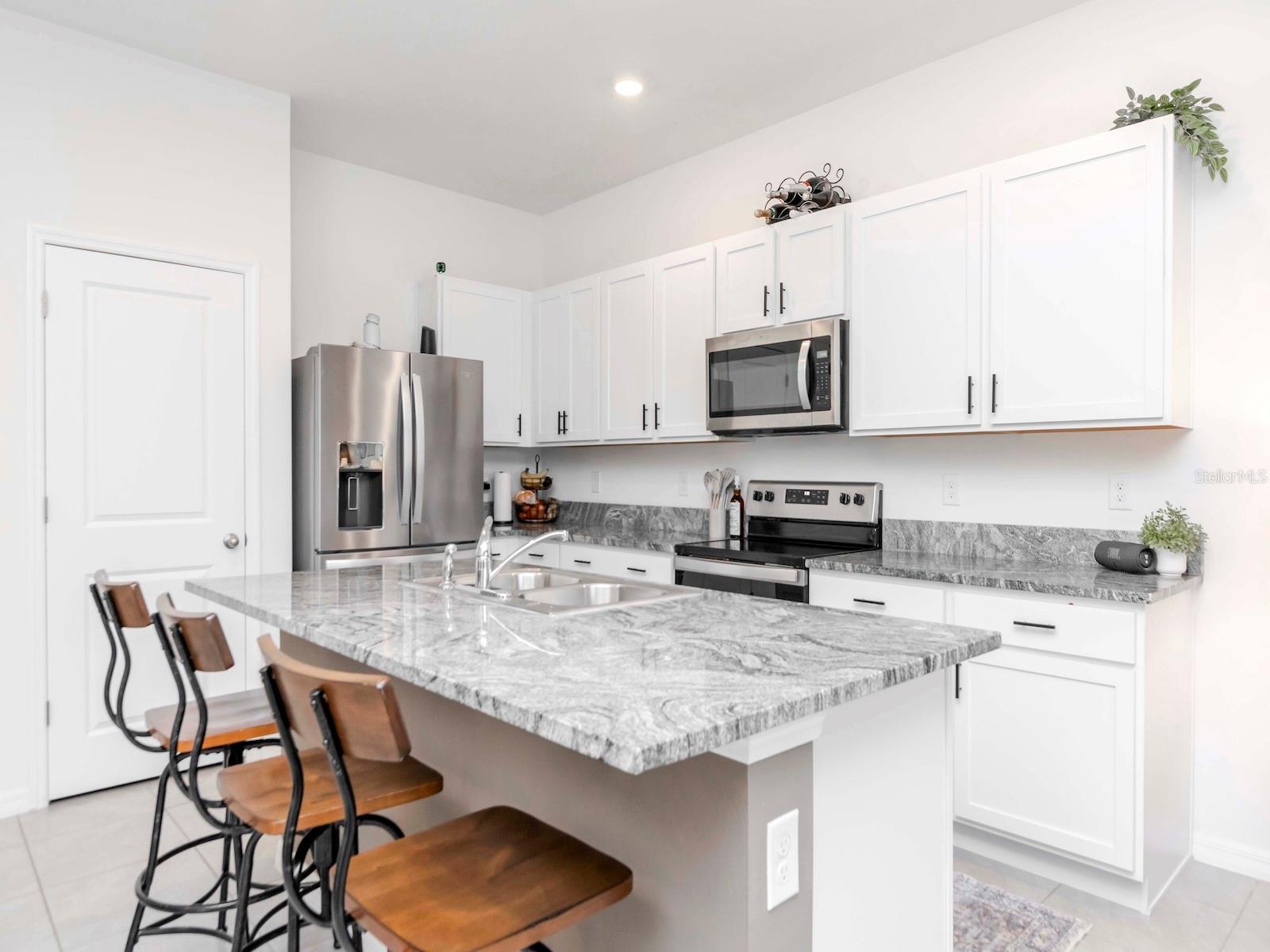 34355 SORREL MINT DR, WESLEY CHAPEL, FL, 33543