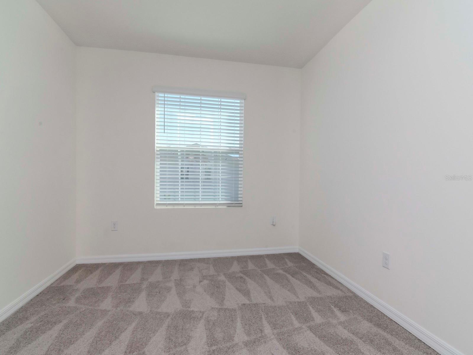 34355 SORREL MINT DR, WESLEY CHAPEL, FL, 33543