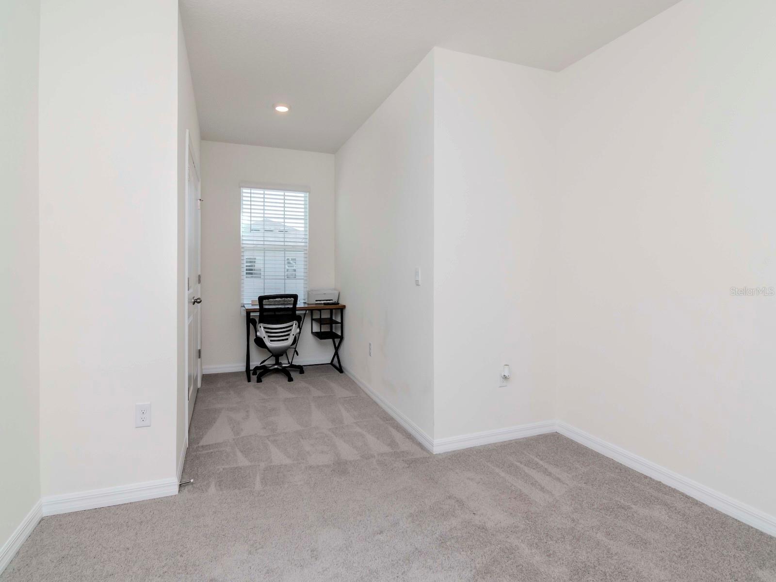34355 SORREL MINT DR, WESLEY CHAPEL, FL, 33543