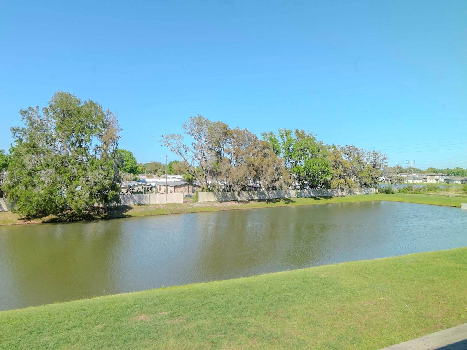 34355 SORREL MINT DR, WESLEY CHAPEL, FL, 33543