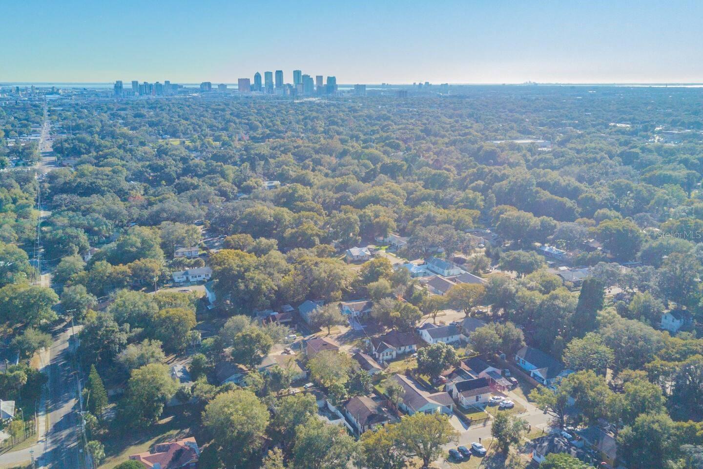 1313 E CAYUGA ST, TAMPA, FL, 33603