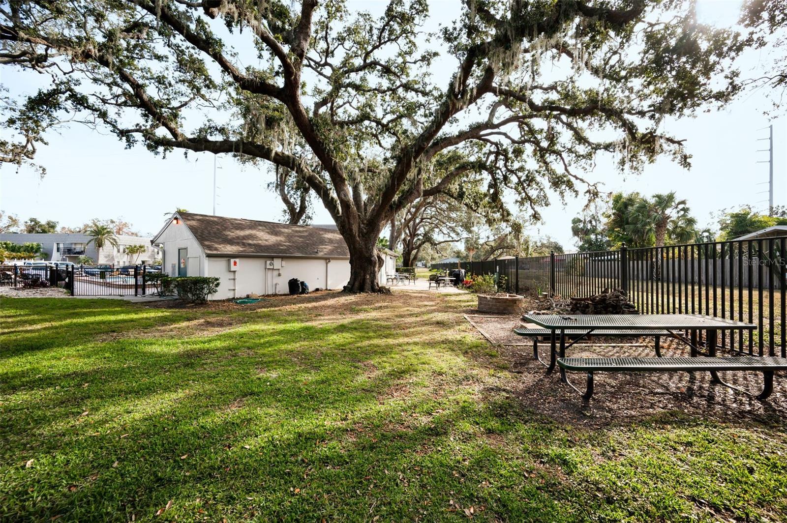 704 LYNDHURST ST #604, DUNEDIN, FL, 34698