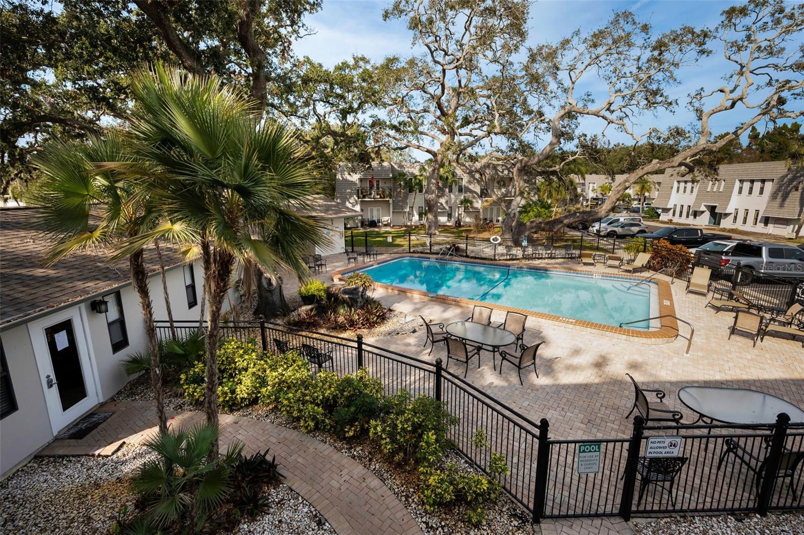 704 LYNDHURST ST #604, DUNEDIN, FL, 34698