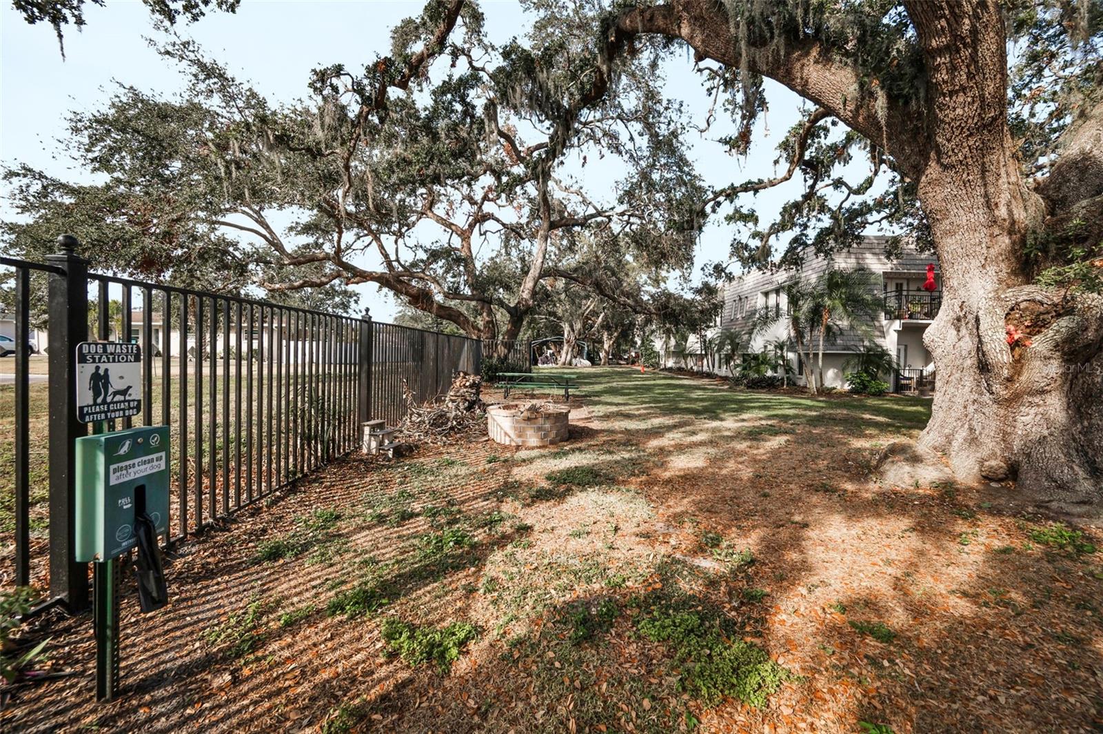 704 LYNDHURST ST #604, DUNEDIN, FL, 34698