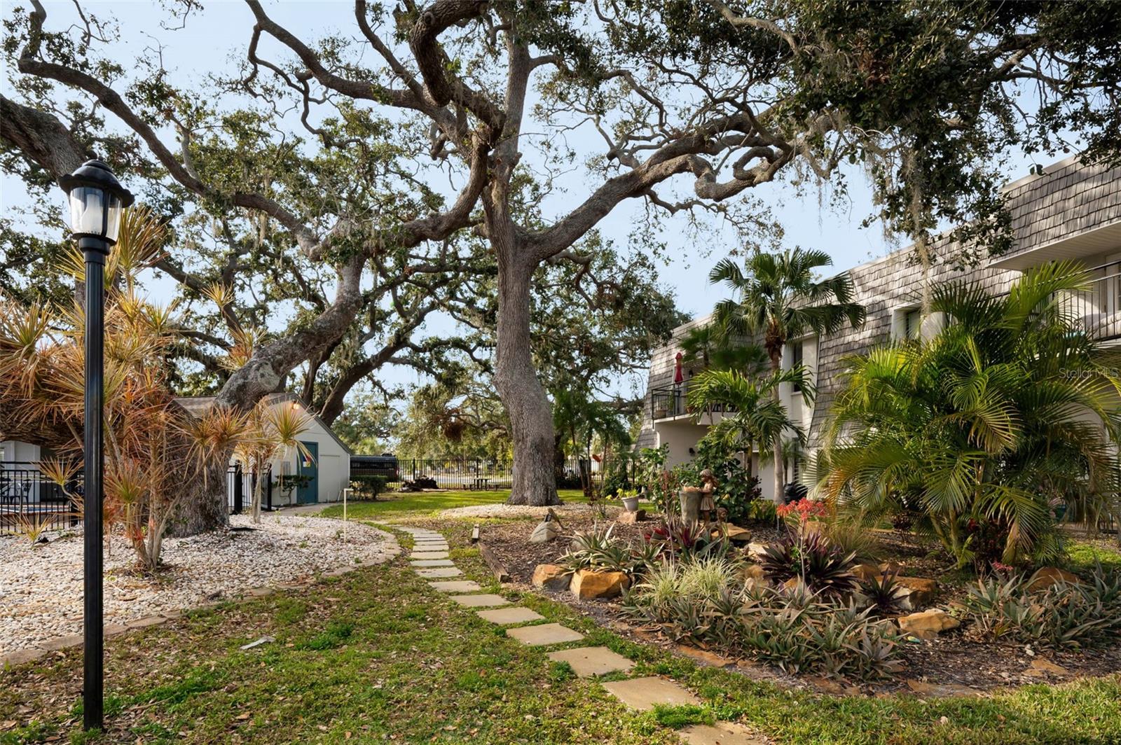 704 LYNDHURST ST #604, DUNEDIN, FL, 34698