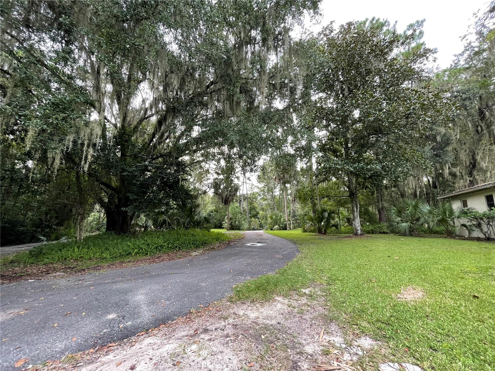 13307  S US HIGHWAY 441, MICANOPY, FL, 32667