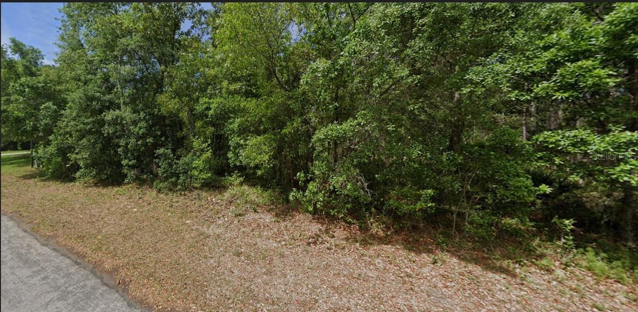 22 LEMINGTON CT, HOMOSASSA, FL, 34446