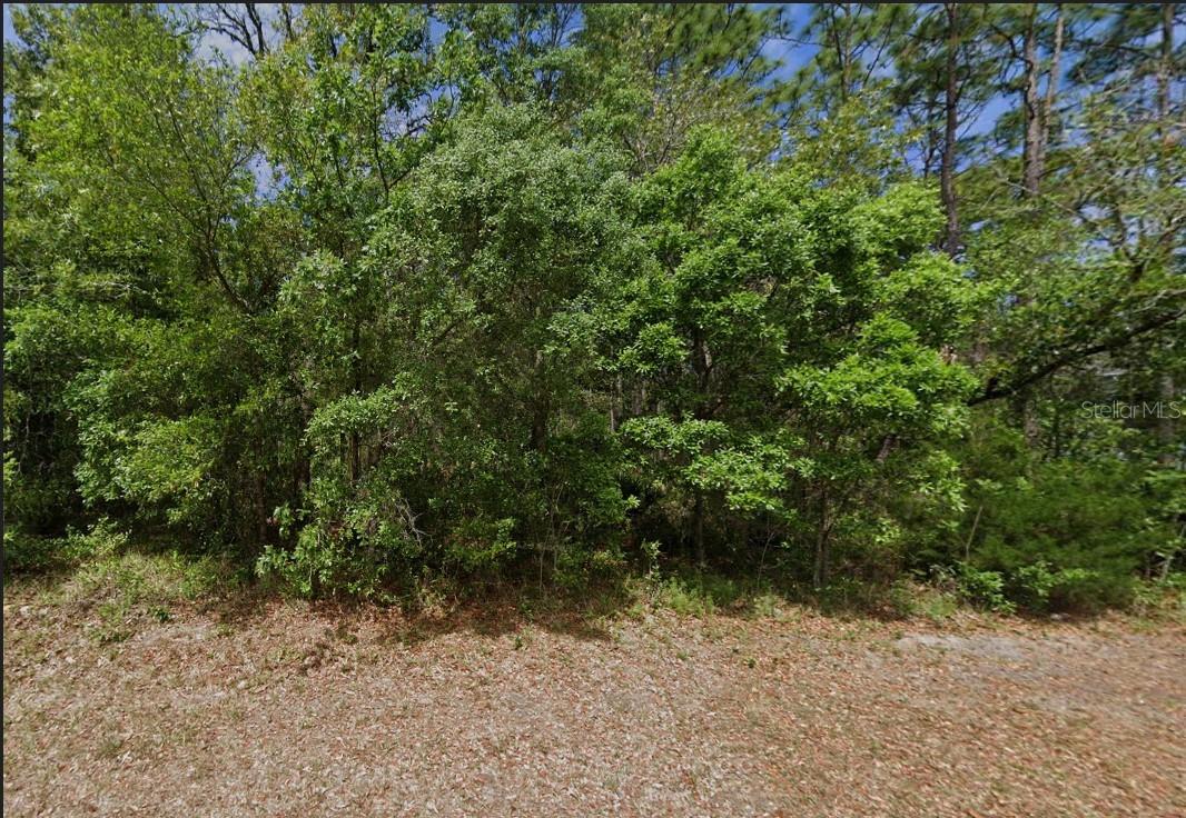 22 LEMINGTON CT, HOMOSASSA, FL, 34446
