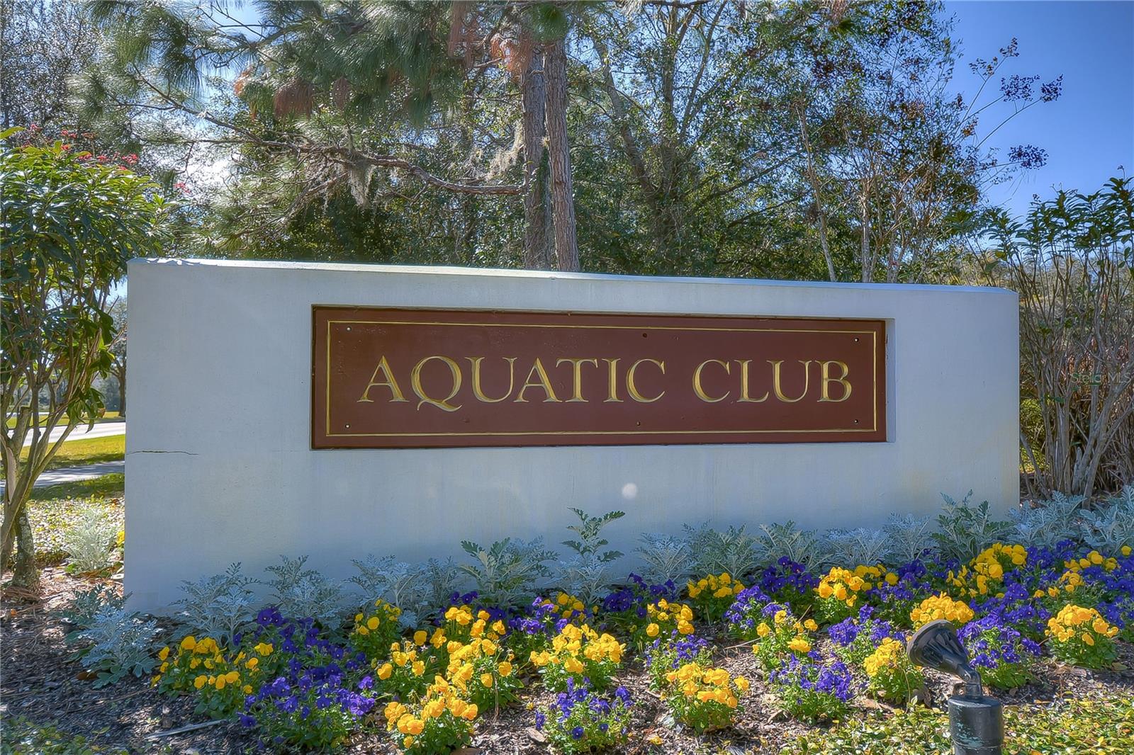 5405 SANDERLING RIDGE DR, LITHIA, FL, 33547