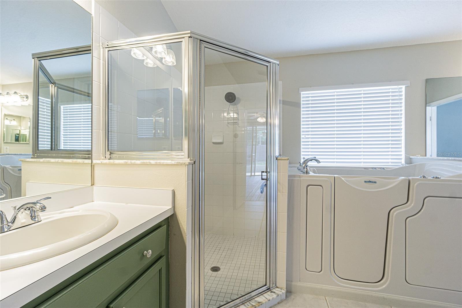 3138 CLOVER BLOSSOM CIR, LAND O LAKES, FL, 34638