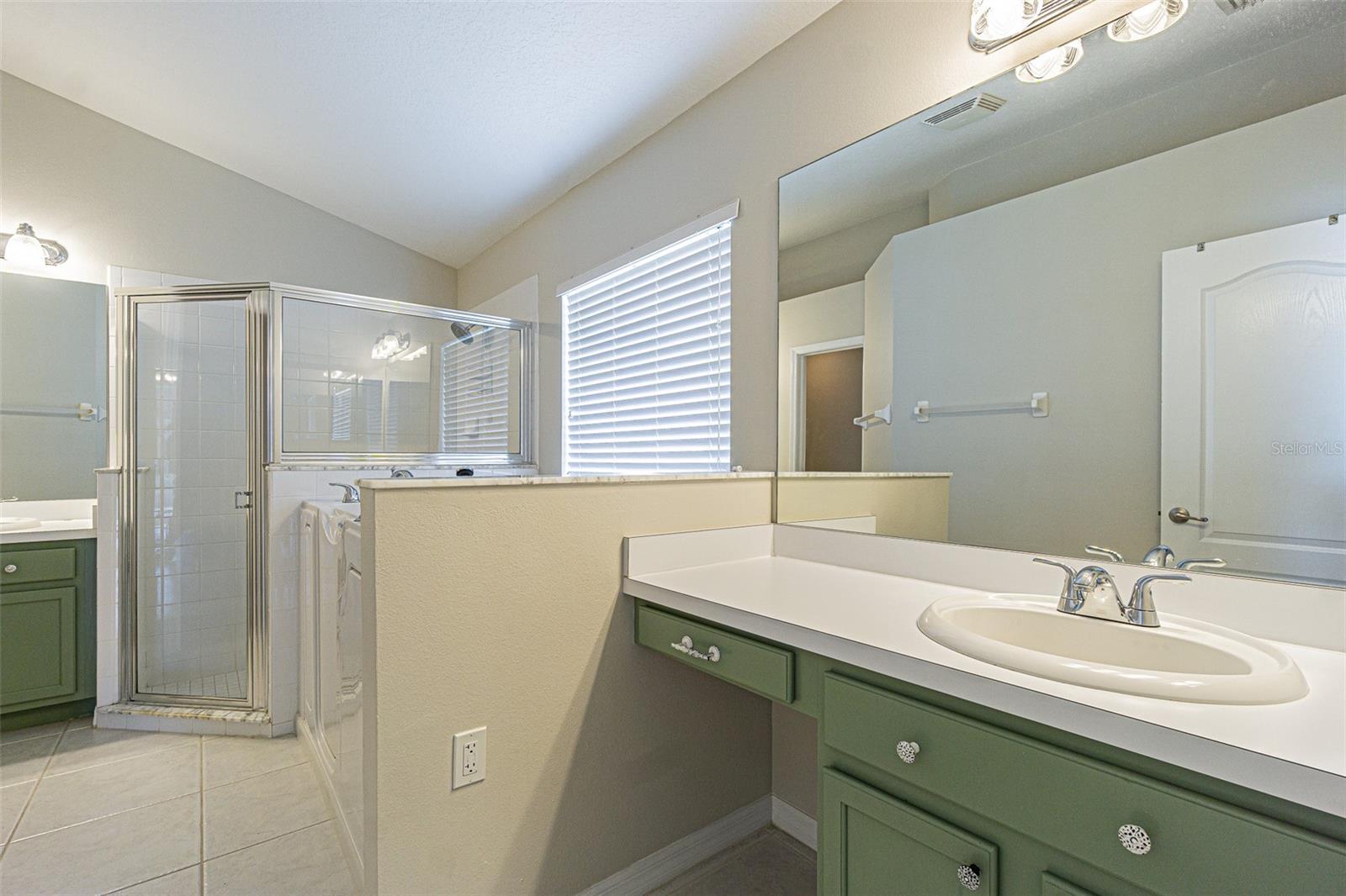 3138 CLOVER BLOSSOM CIR, LAND O LAKES, FL, 34638