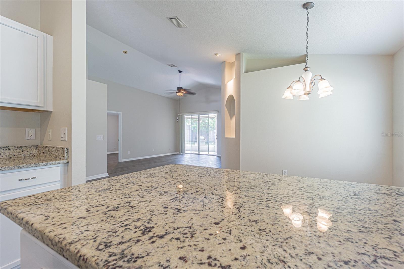 3138 CLOVER BLOSSOM CIR, LAND O LAKES, FL, 34638