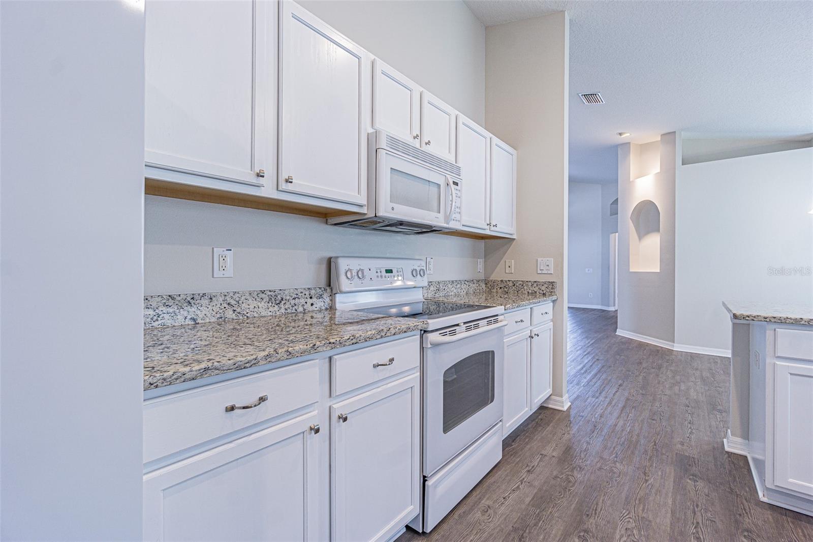 3138 CLOVER BLOSSOM CIR, LAND O LAKES, FL, 34638