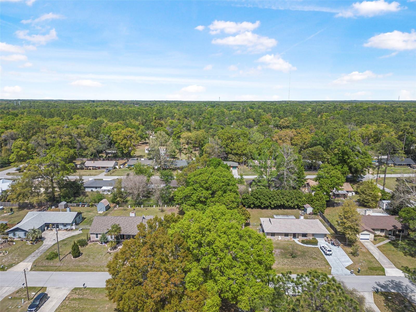 3385 NE 44TH PL, OCALA, FL, 34479