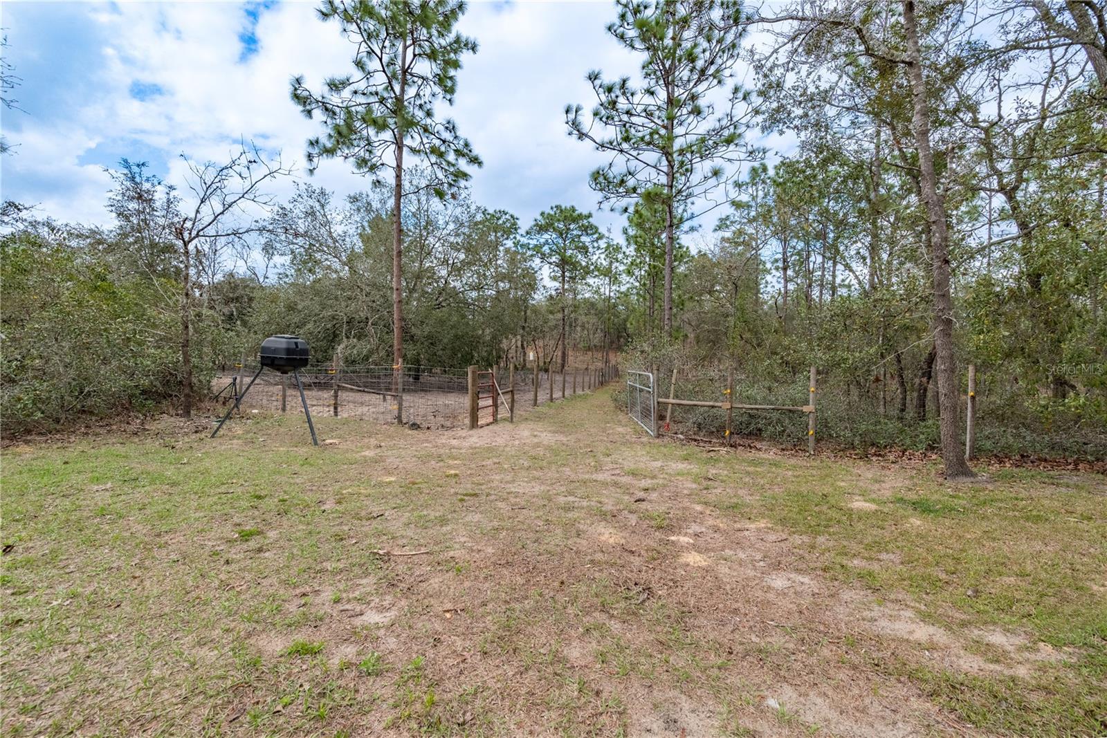 6550 SE 123RD TER, MORRISTON, FL, 32668