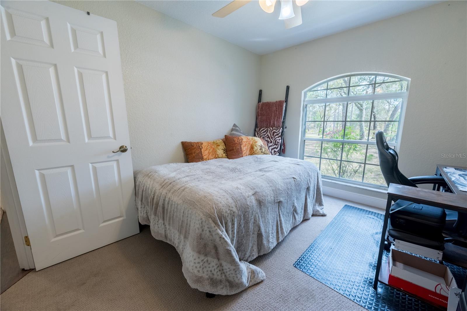6550 SE 123RD TER, MORRISTON, FL, 32668