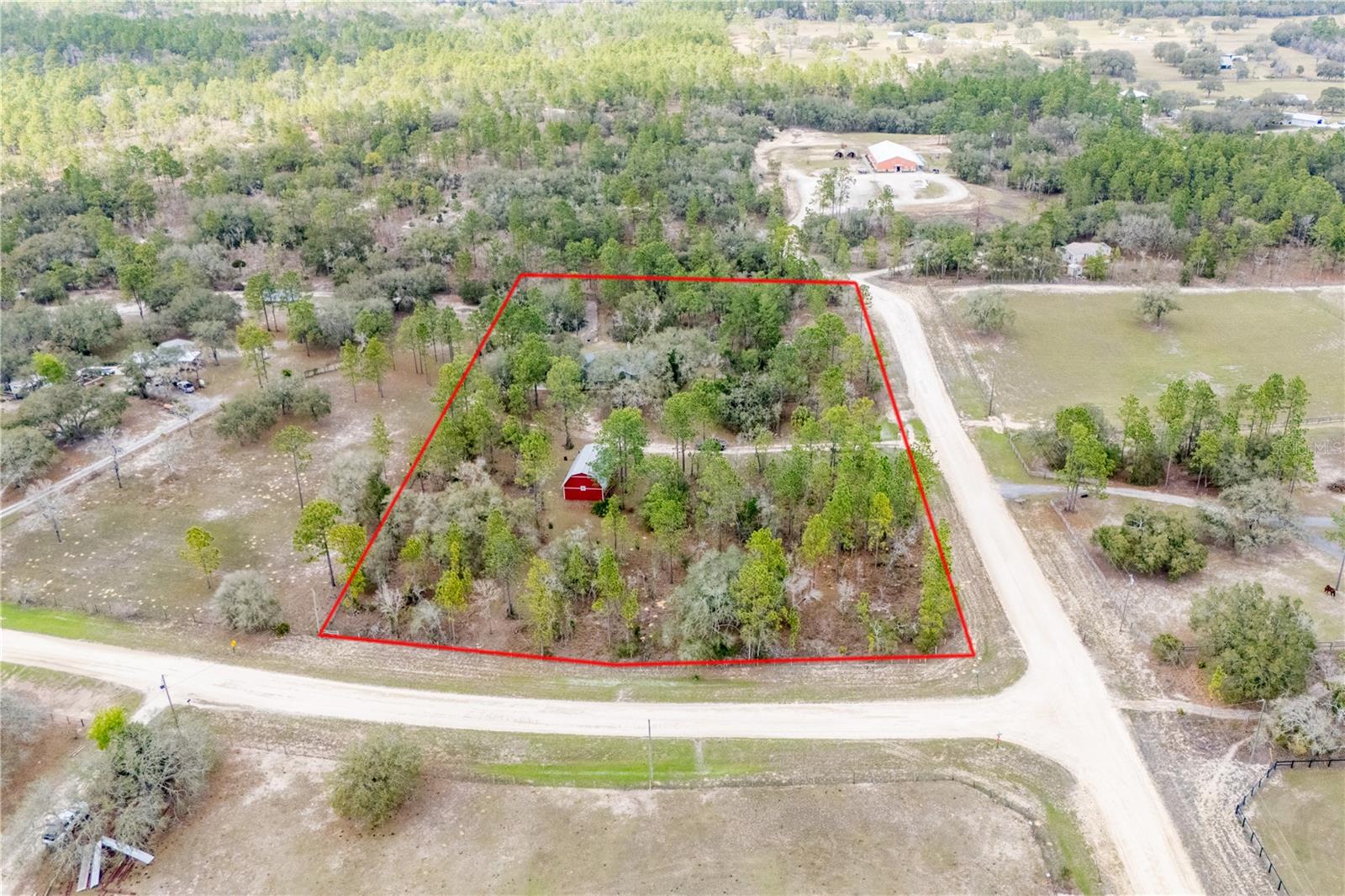 6550 SE 123RD TER, MORRISTON, FL, 32668
