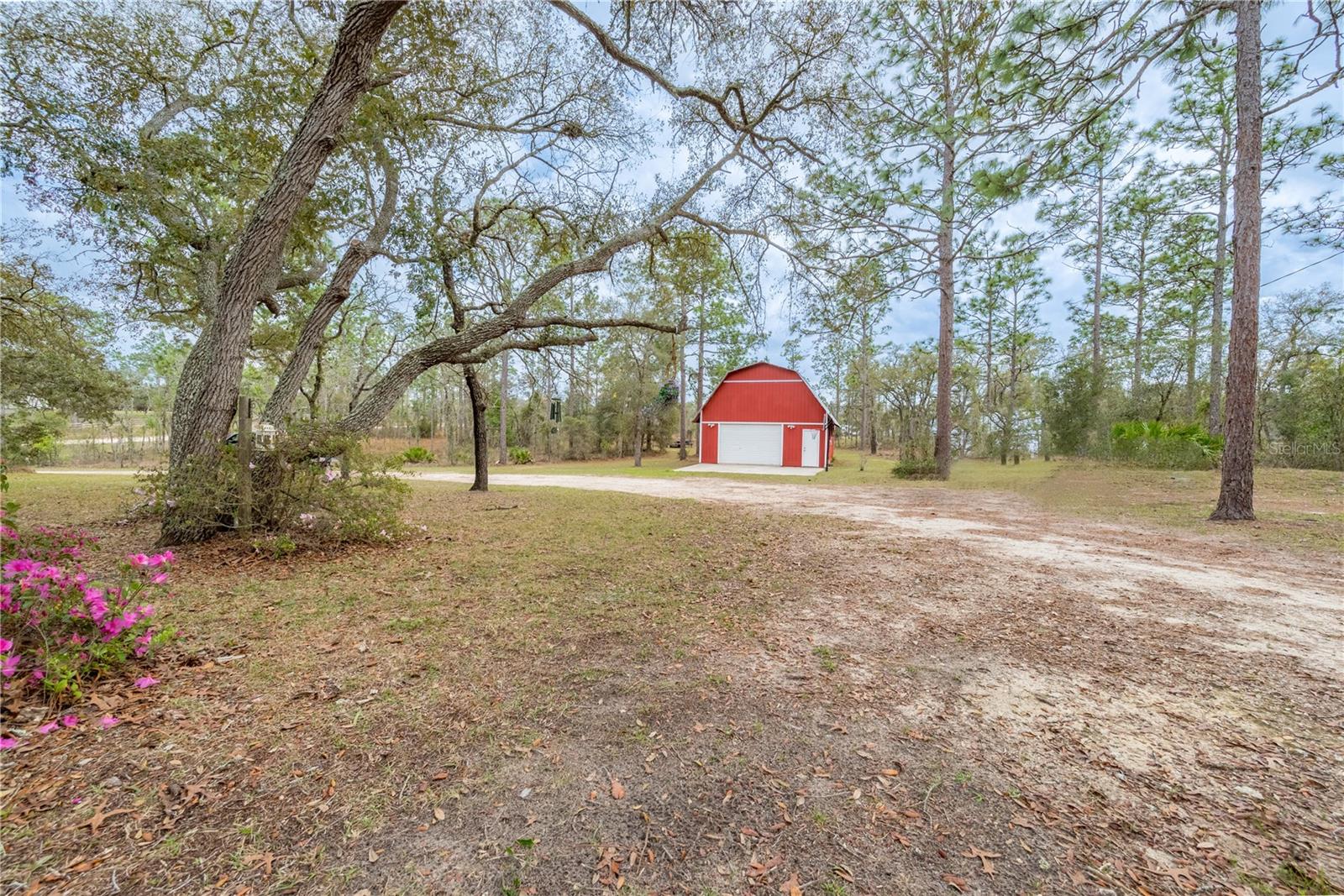 6550 SE 123RD TER, MORRISTON, FL, 32668