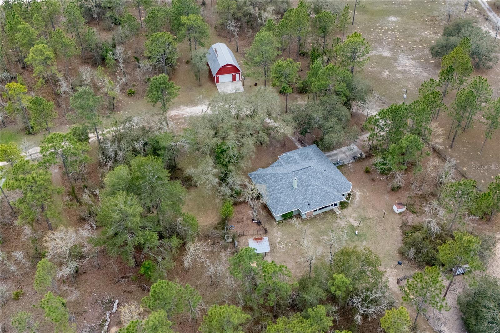 6550 SE 123RD TER, MORRISTON, FL, 32668