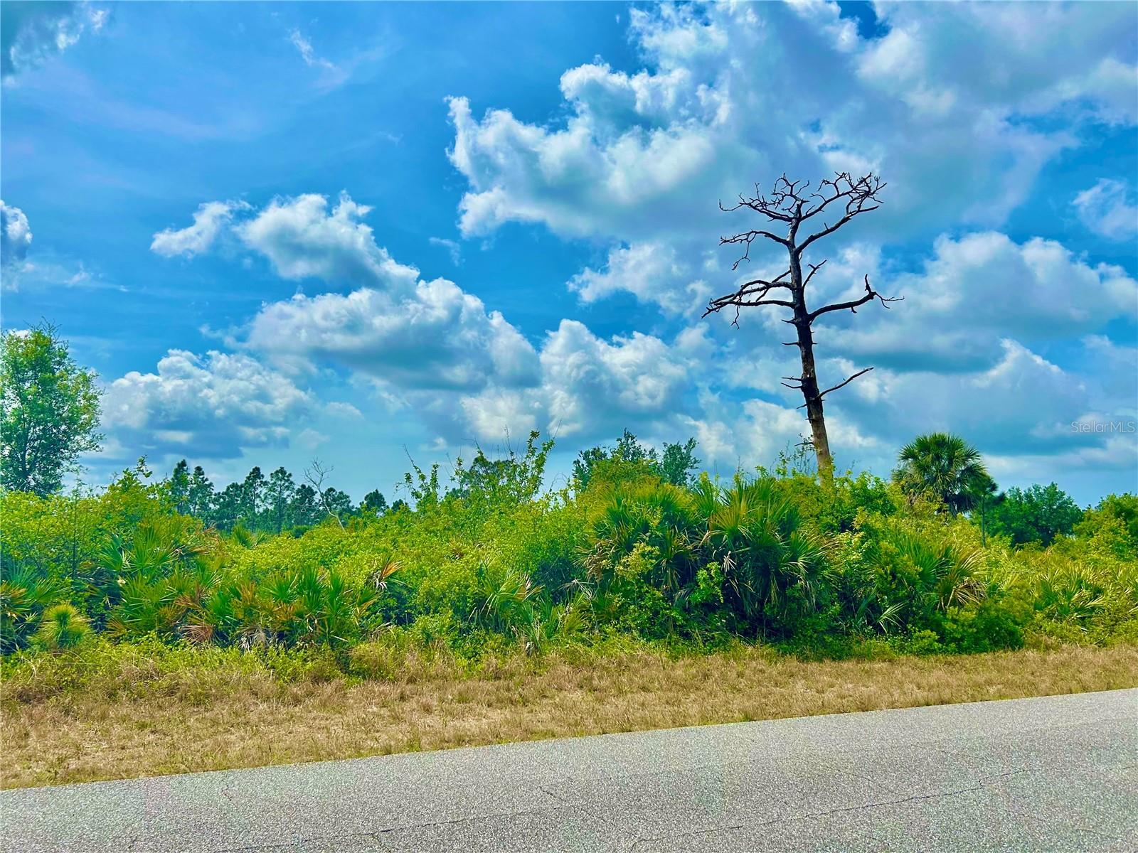 12053 ABRAMS AVE, PORT CHARLOTTE, FL, 33981