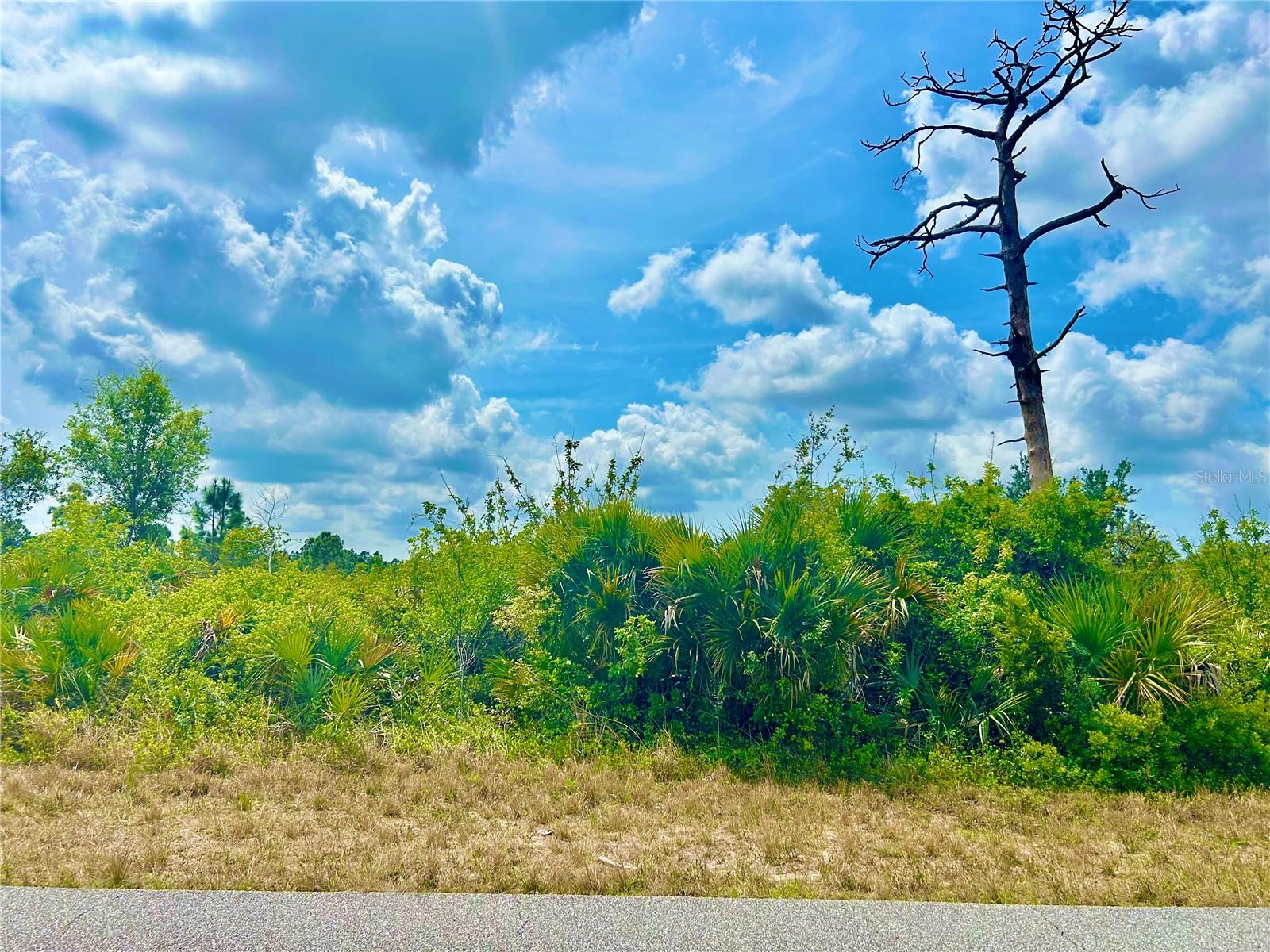 12053 ABRAMS AVE, PORT CHARLOTTE, FL, 33981
