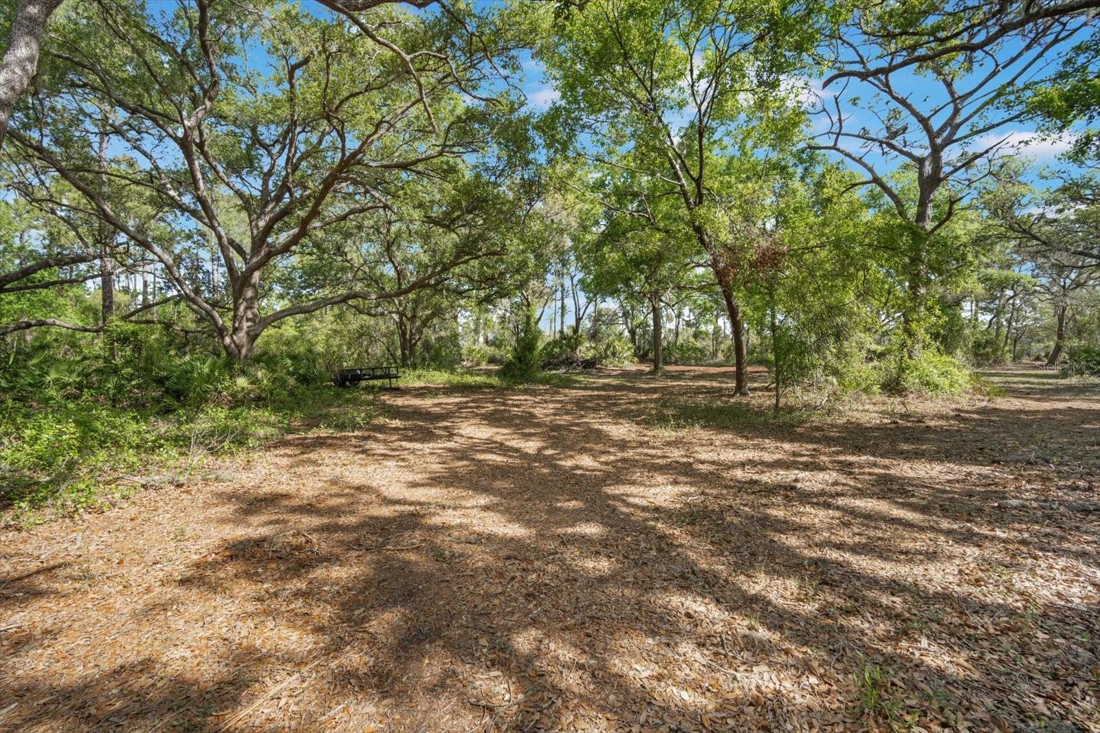 231 SUNDANCE TRL, WIMAUMA, FL, 33598