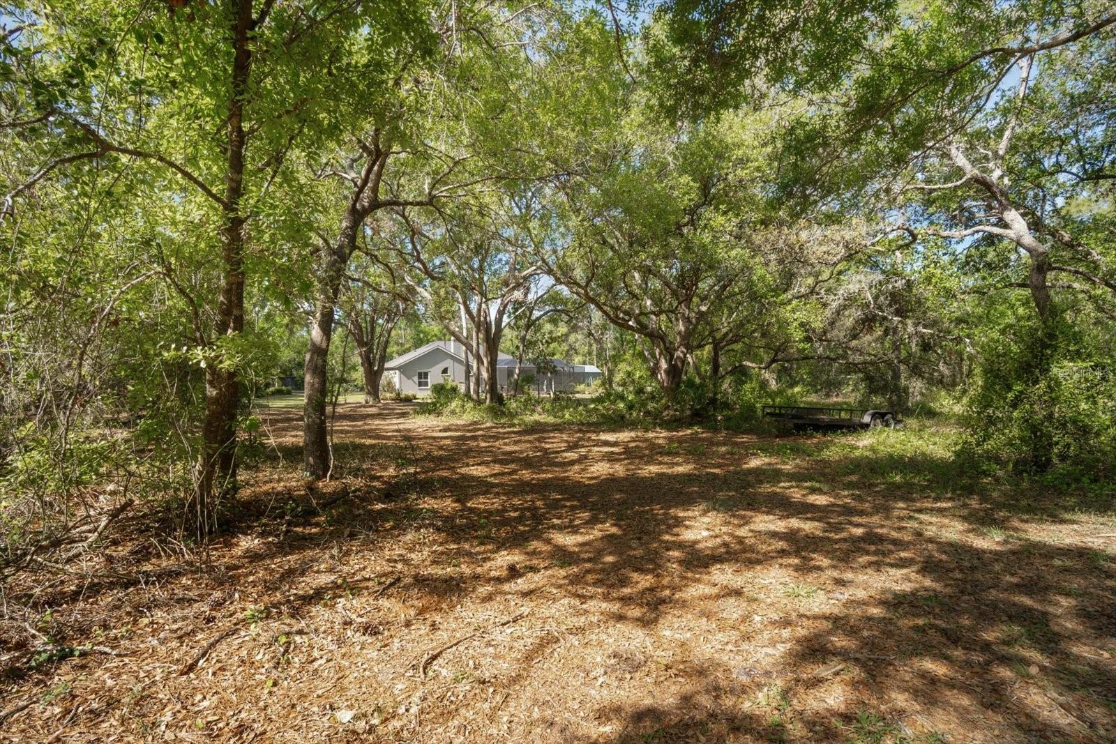 231 SUNDANCE TRL, WIMAUMA, FL, 33598