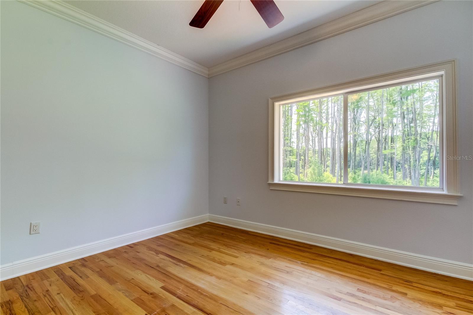 7510 N MOBLEY RD, ODESSA, FL, 33556