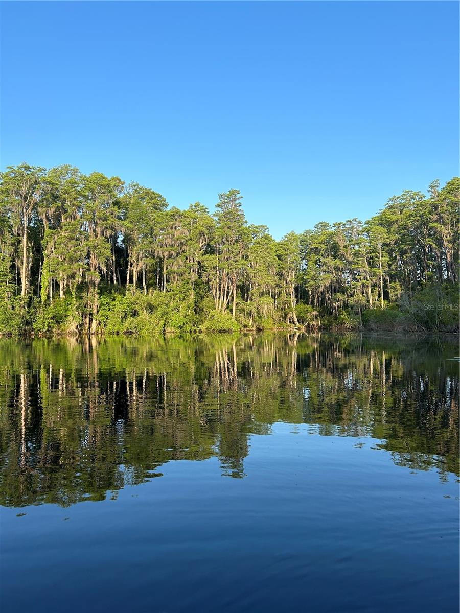 7510 N MOBLEY RD, ODESSA, FL, 33556