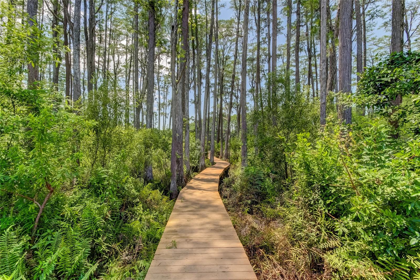 7510 N MOBLEY RD, ODESSA, FL, 33556