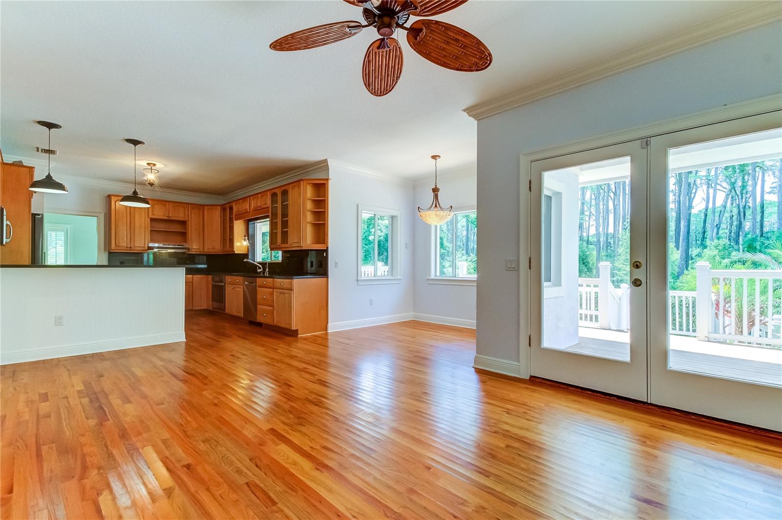 7510 N MOBLEY RD, ODESSA, FL, 33556