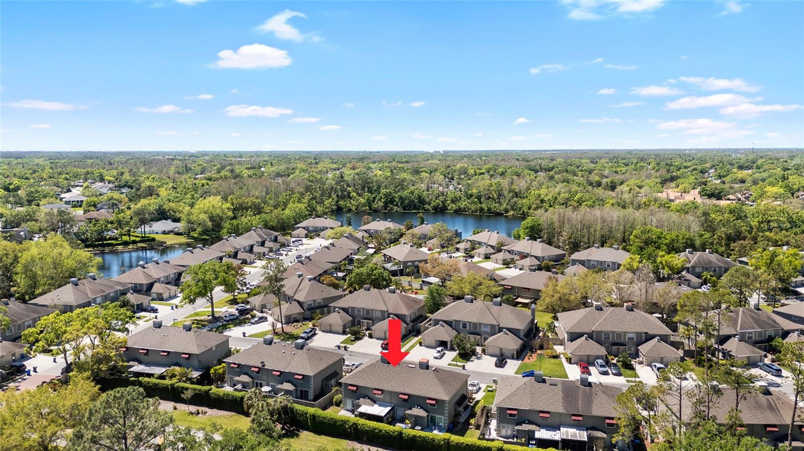 14019 NOTREVILLE WAY, TAMPA, FL, 33624