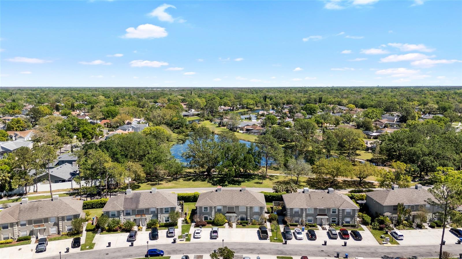 14019 NOTREVILLE WAY, TAMPA, FL, 33624