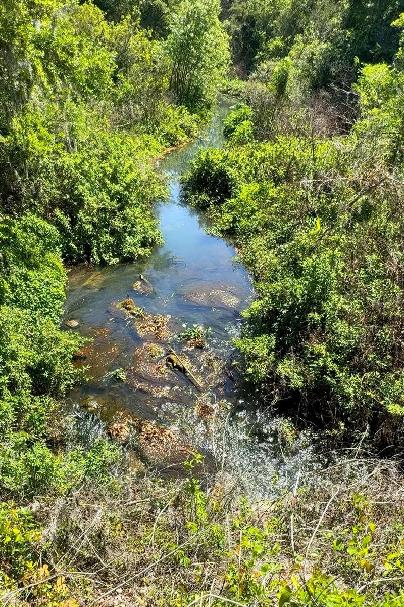 3815 SE 25TH ST, BUSHNELL, FL, 33513
