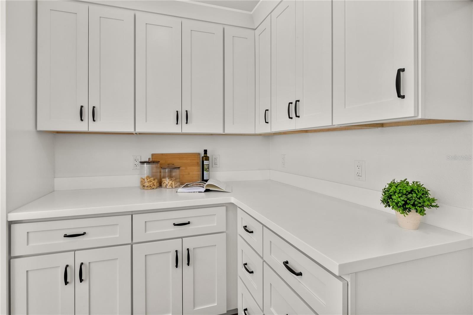 650 E LIBERTY AVE, MOUNT DORA, FL, 32757