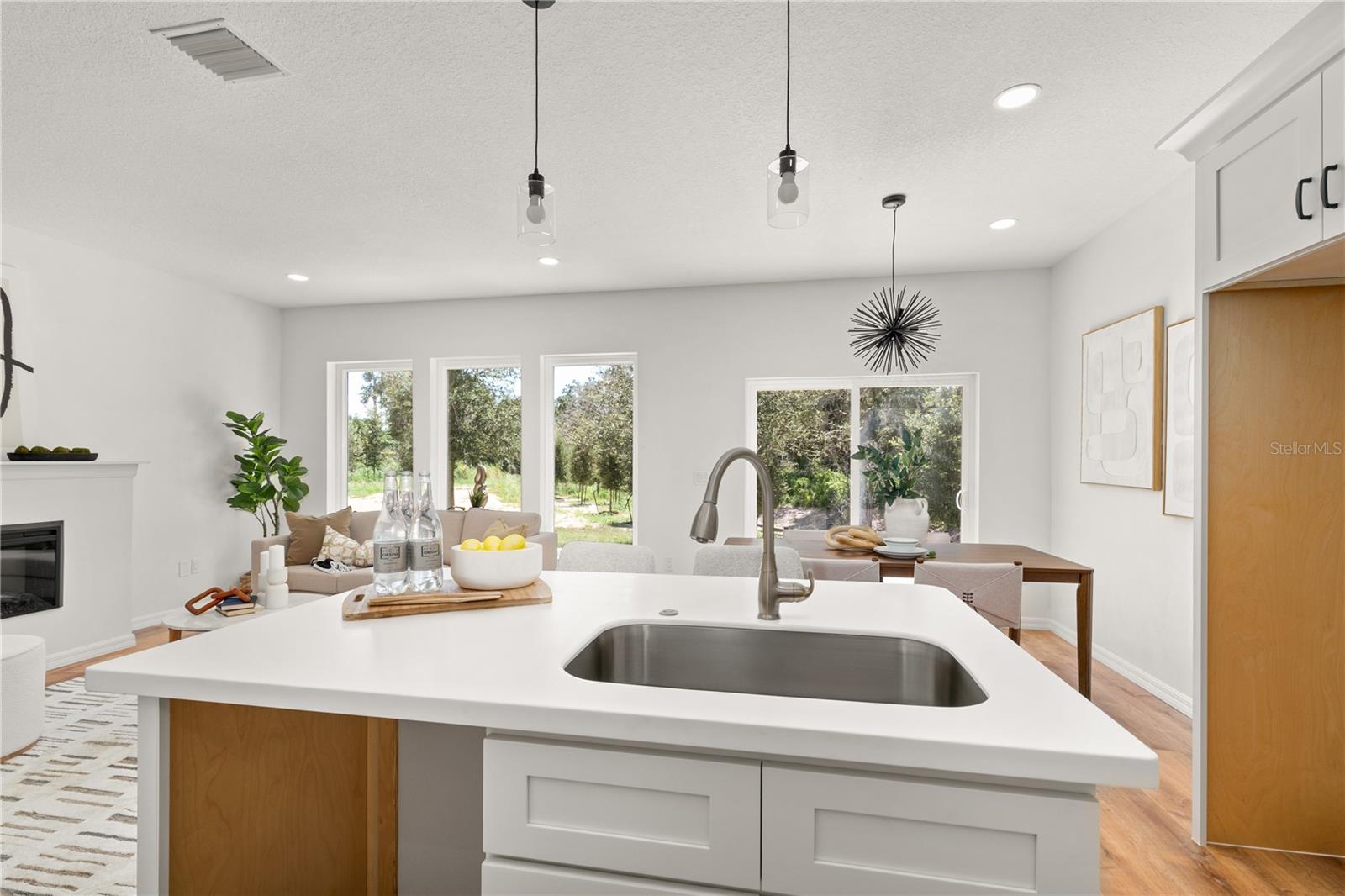 650 E LIBERTY AVE, MOUNT DORA, FL, 32757