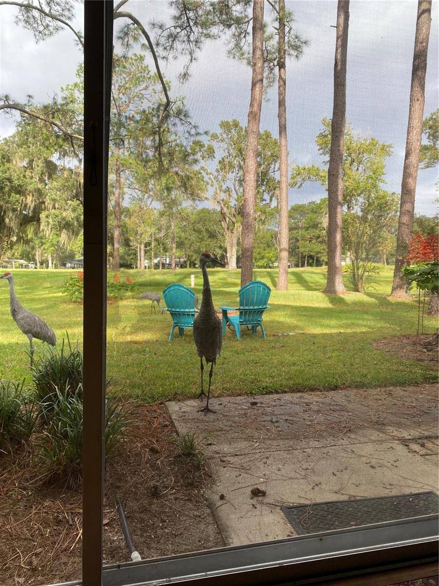 5900 SW 35TH WAY, GAINESVILLE, FL, 32608