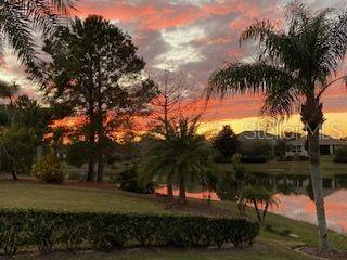 8809 BEACON HILL AVENUE, MOUNT DORA, FL, 32757