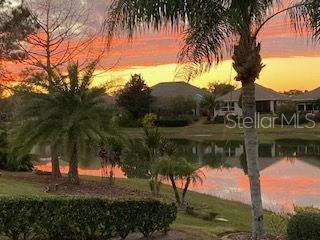 8809 BEACON HILL AVENUE, MOUNT DORA, FL, 32757