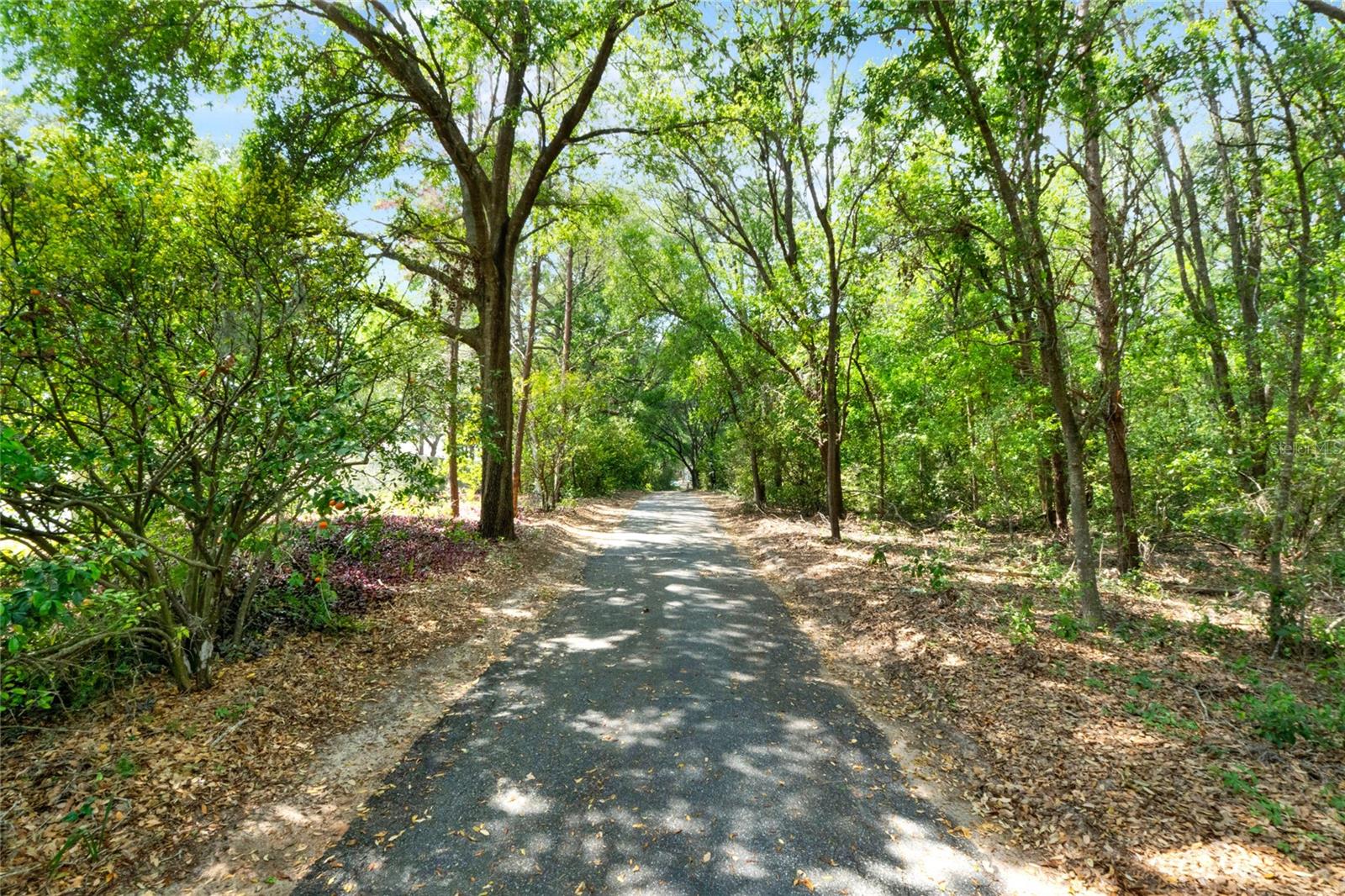 34731 ESTES RD, EUSTIS, FL, 32736