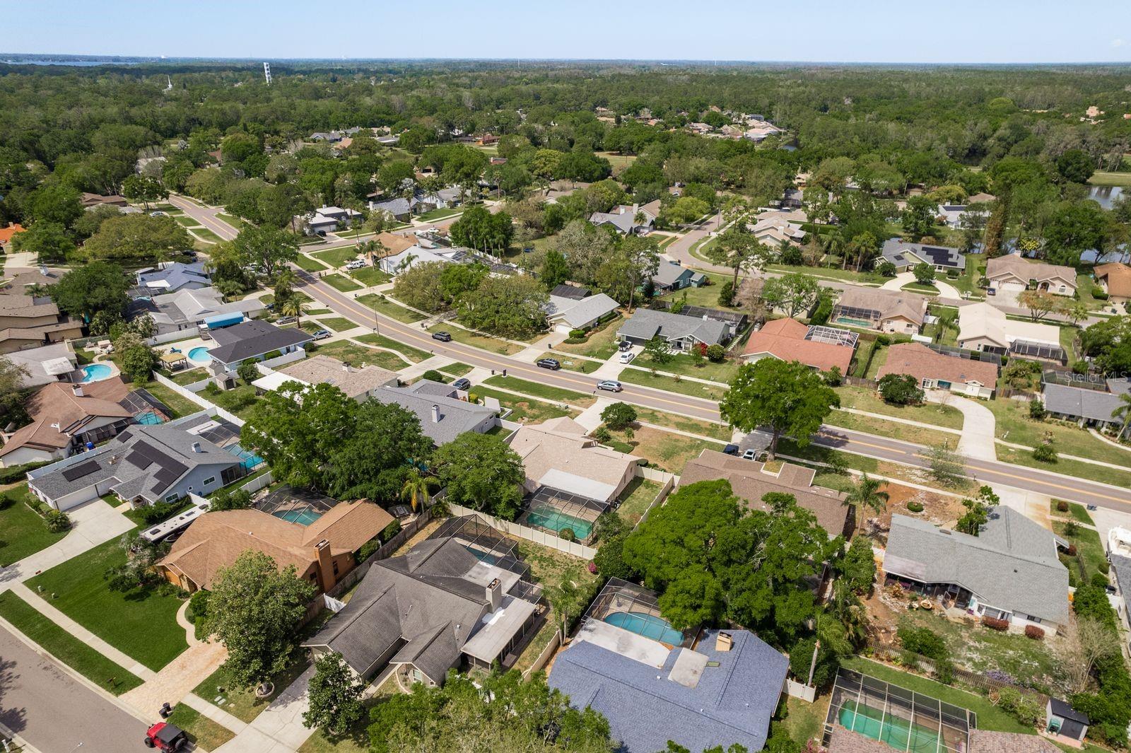 3388 TARPON WOODS BLVD, PALM HARBOR, FL, 34685