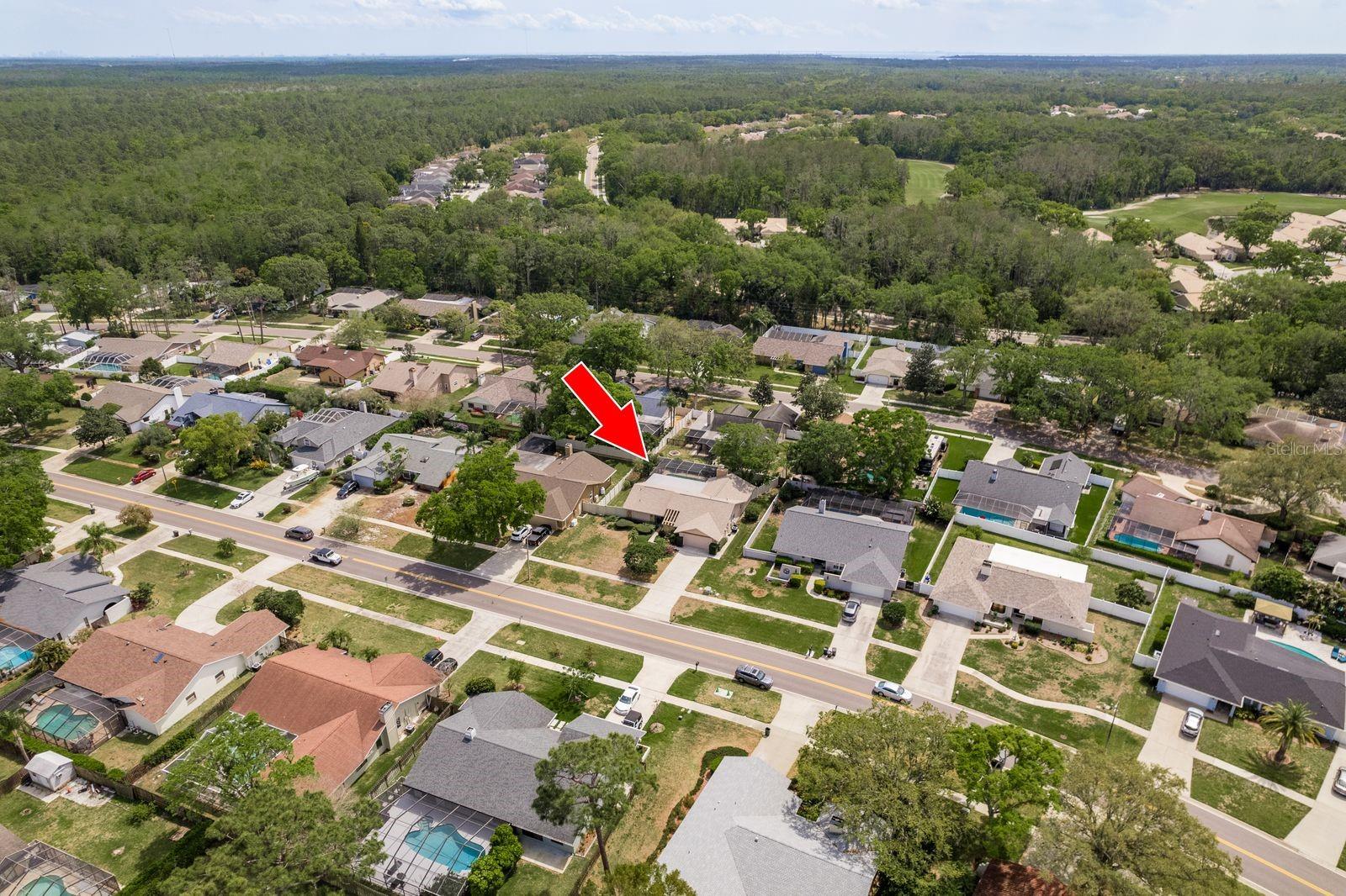 3388 TARPON WOODS BLVD, PALM HARBOR, FL, 34685