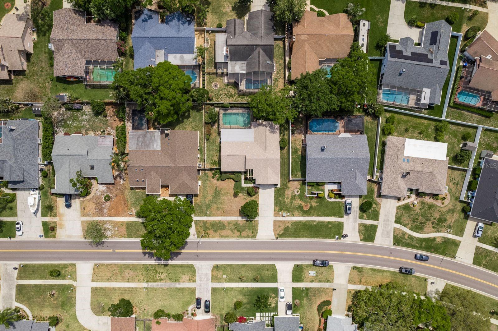 3388 TARPON WOODS BLVD, PALM HARBOR, FL, 34685