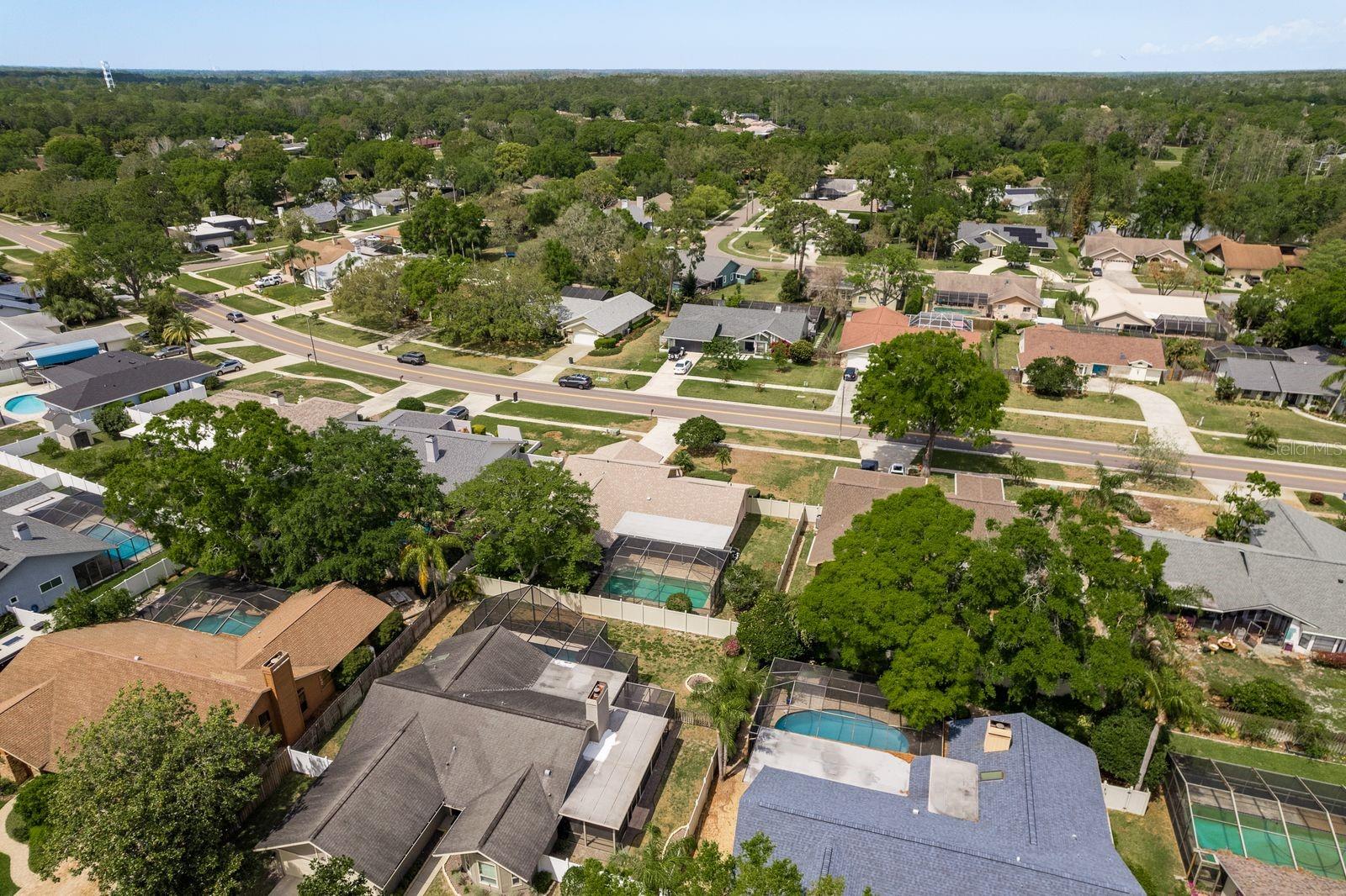 3388 TARPON WOODS BLVD, PALM HARBOR, FL, 34685